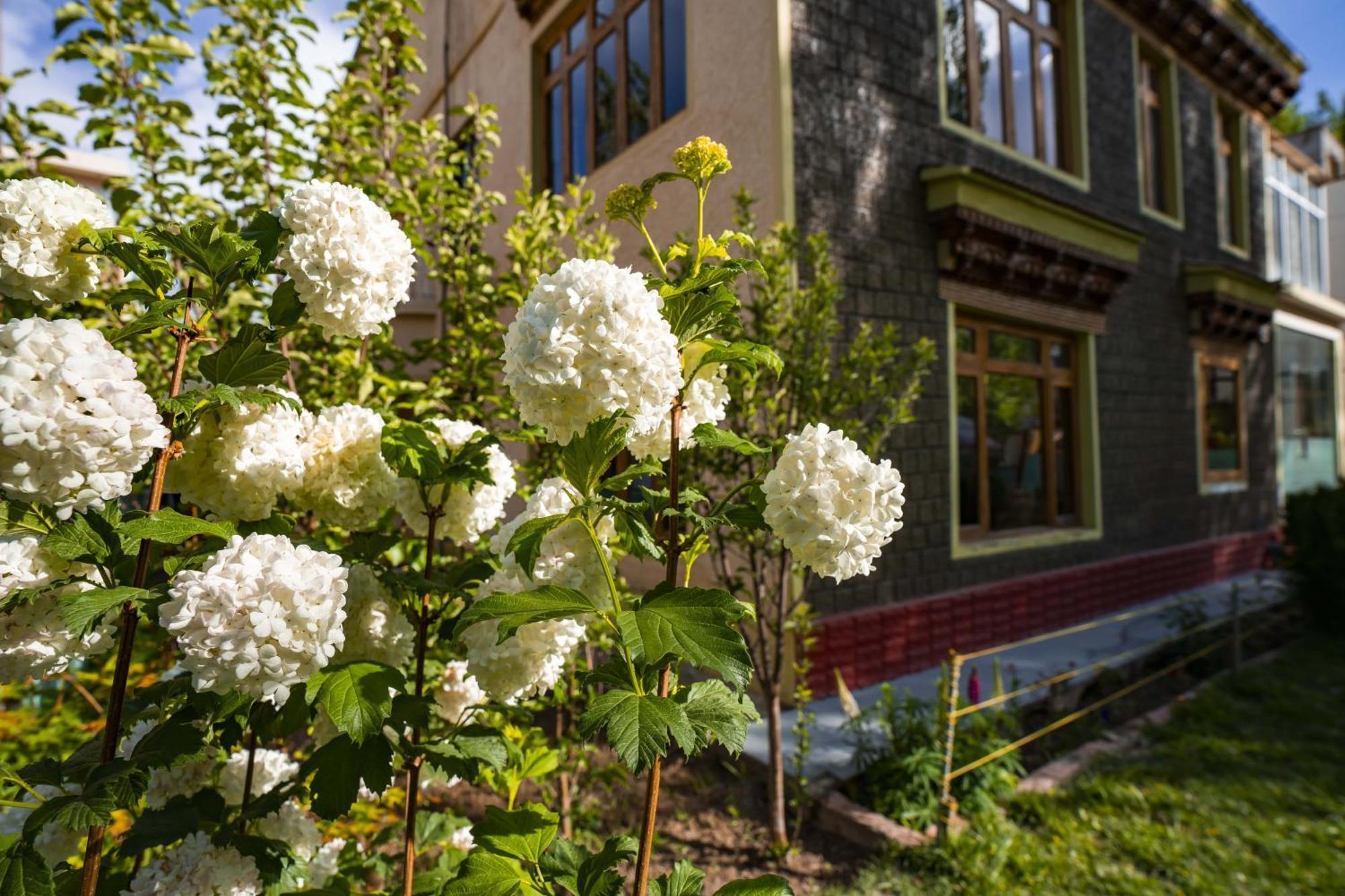 Rainbow Holiday Home Лех Екстер'єр фото